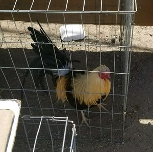 Meet your Posher, Mike